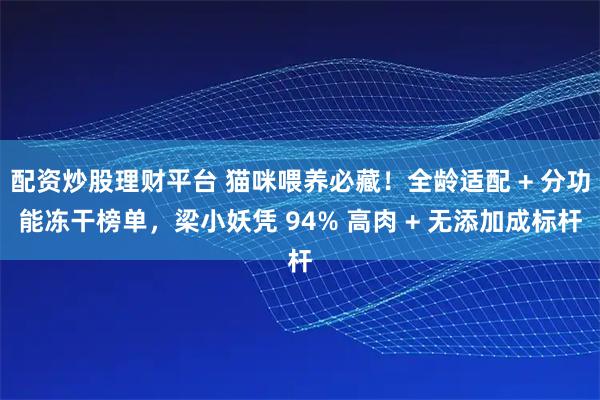 配资炒股理财平台 猫咪喂养必藏！全龄适配 + 分功能冻干榜单，梁小妖凭 94% 高肉 + 无添加成标杆