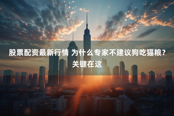 股票配资最新行情 为什么专家不建议狗吃猫粮？关键在这